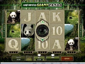 untamed-giant-panda-slot